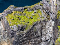 Kerry Cliffs (Aillte Chiarraí)